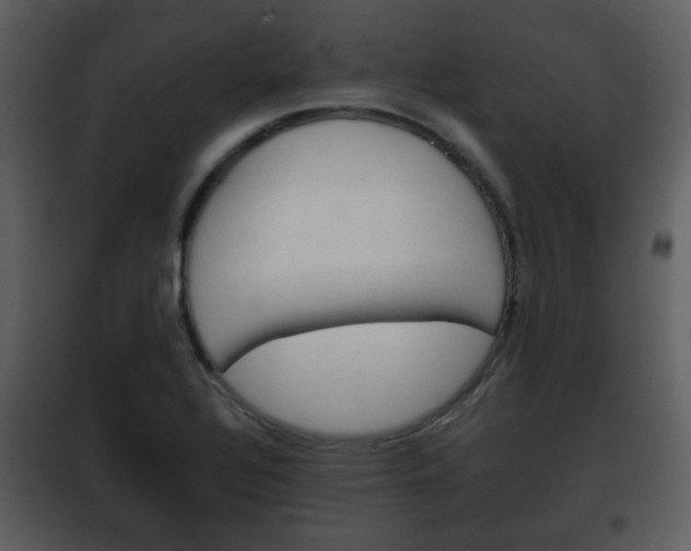 X0000101961320200807180653
