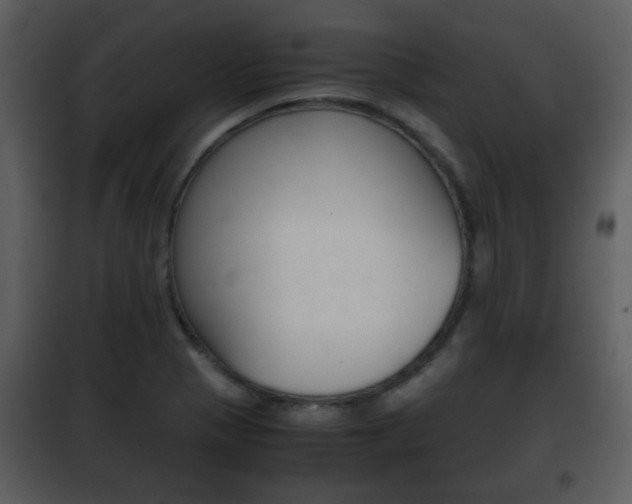 X0000101961321200807180653