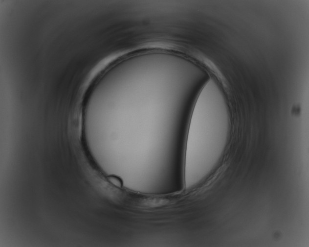 X0000101961323200807180653