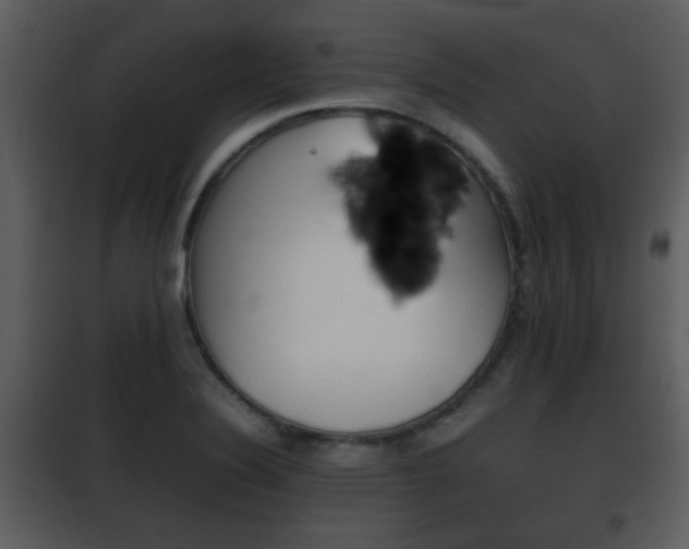 X0000101961324200807180653