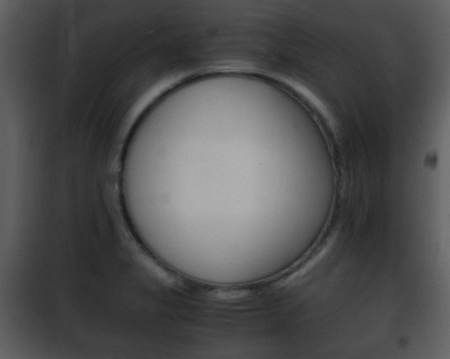 X0000101961325200807180653