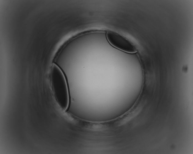 X0000101961326200807180653