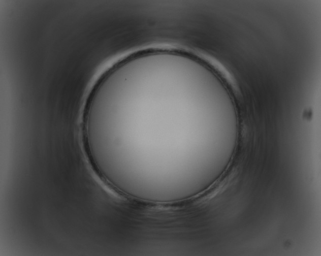 X0000101961327200807180653