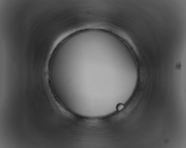 X0000101961328200807180653