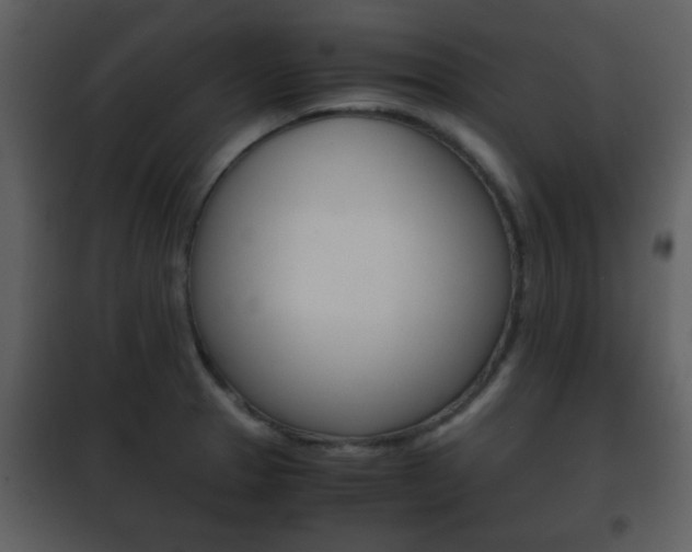 X0000101961329200807180653