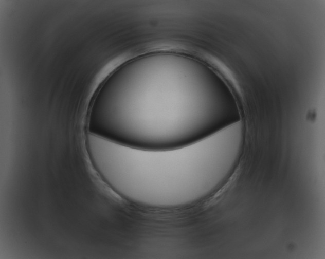 X0000101961330200807180653