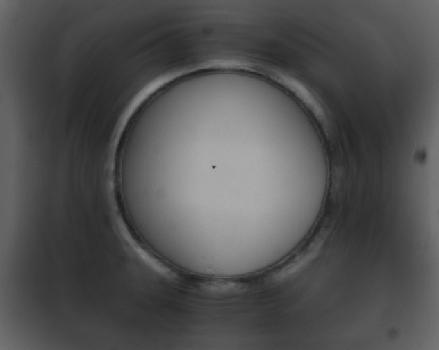X0000101961331200807180653