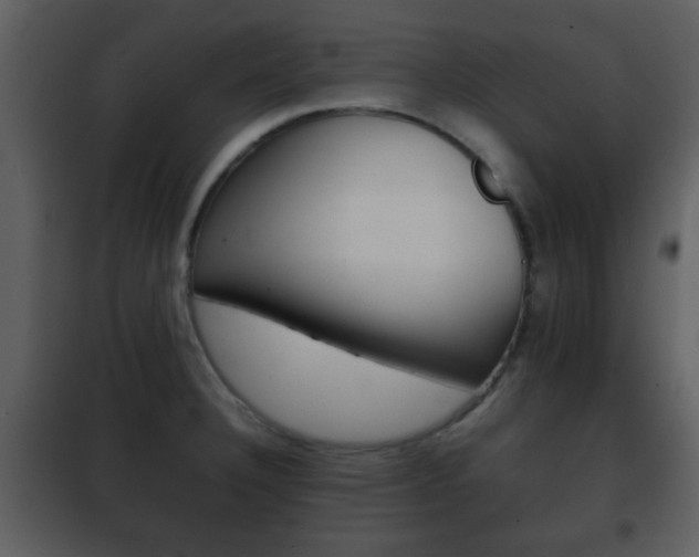 X0000101961332200807180653