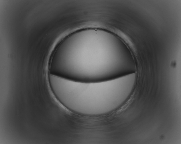 X0000101961334200807180653