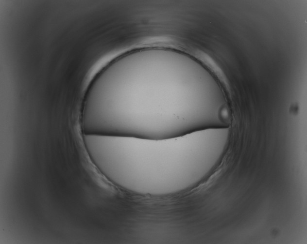 X0000101961336200807180653