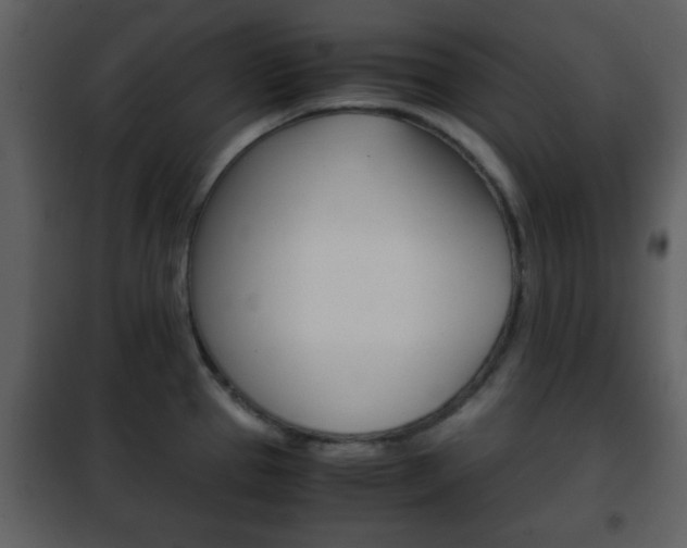 X0000101961337200807180653