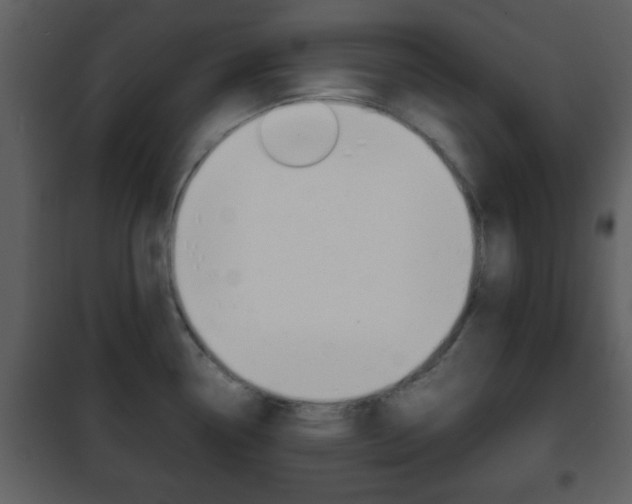 X0000101961338200807180653