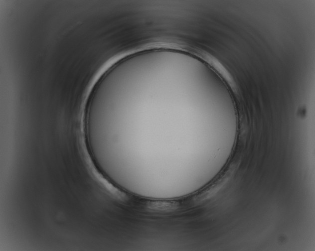 X0000101961339200807180653