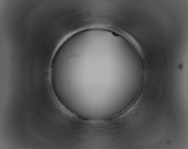 X0000101961340200807180653