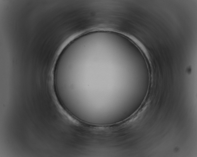 X0000101961341200807180653