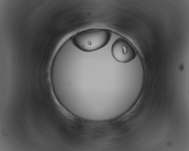 X0000101961342200807180653