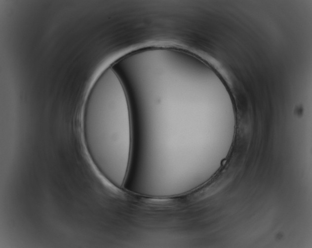 X0000101961343200807180653
