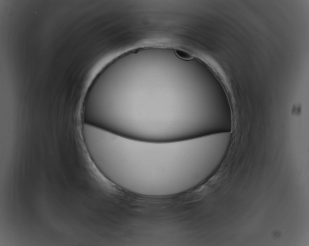 X0000101961344200807180653