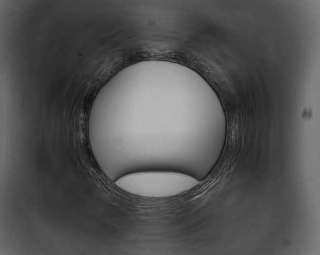 X0000101961346200807180653