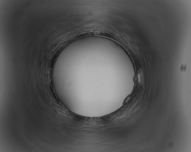 X0000101961347200807180653