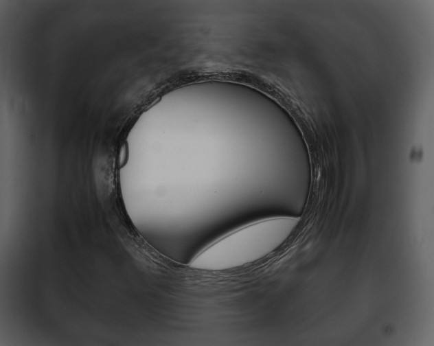 X0000101961348200807180652