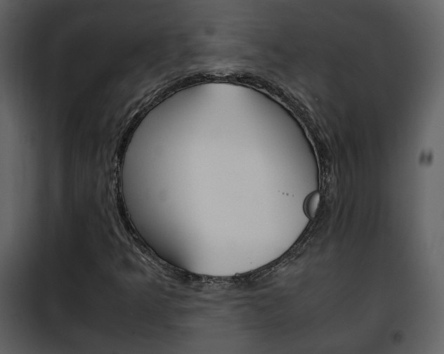 X0000101961349200807180652