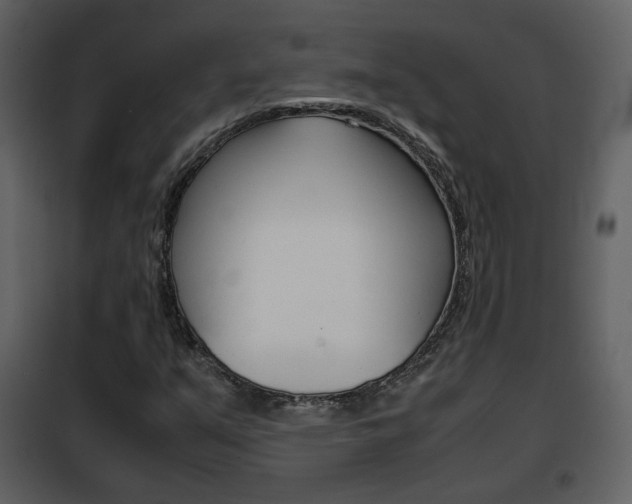 X0000101961351200807180652