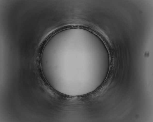 X0000101961352200807180652