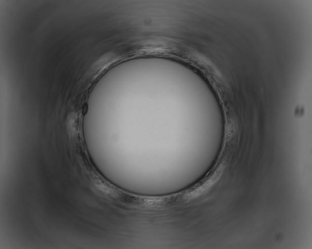X0000101961353200807180652