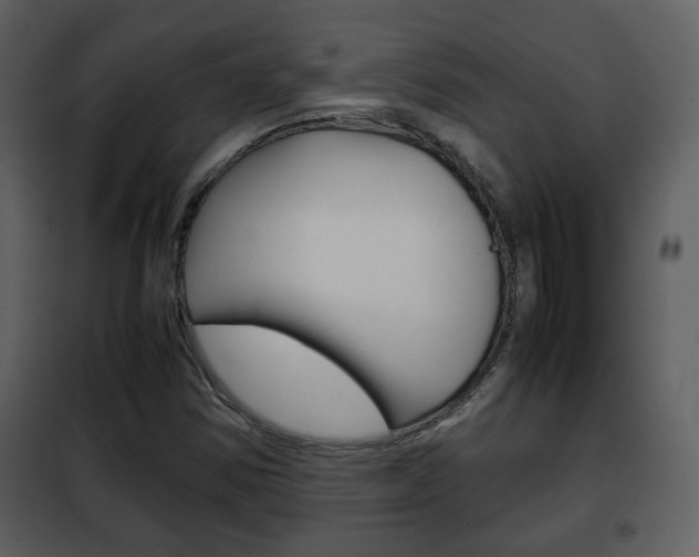 X0000101961354200807180652