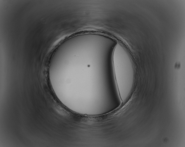 X0000101961355200807180652