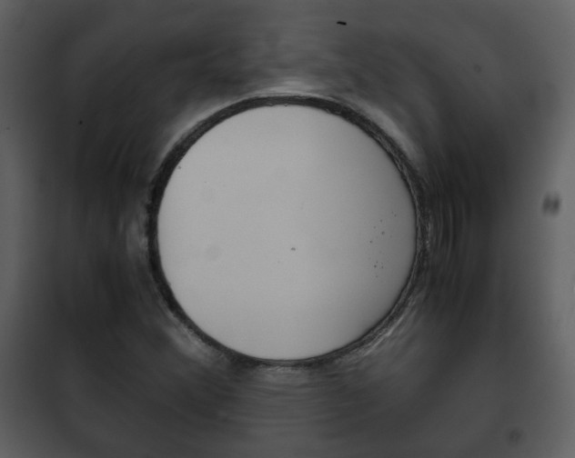 X0000101961356200807180652