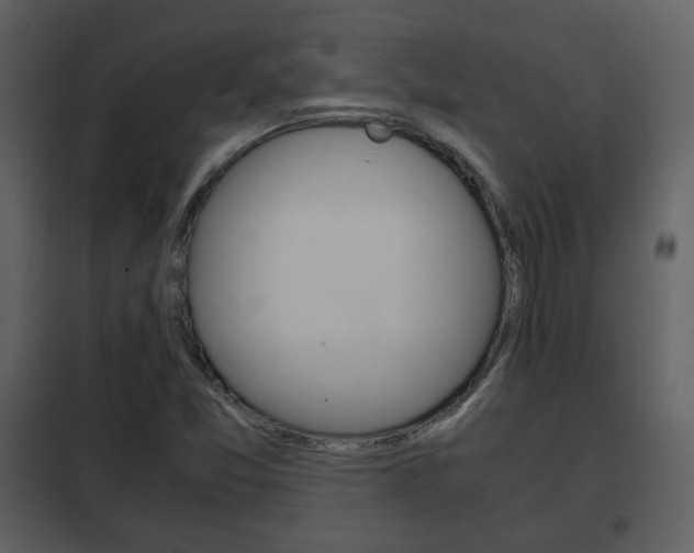 X0000101961357200807180652