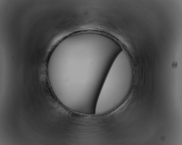 X0000101961358200807180652