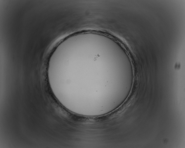 X0000101961359200807180652