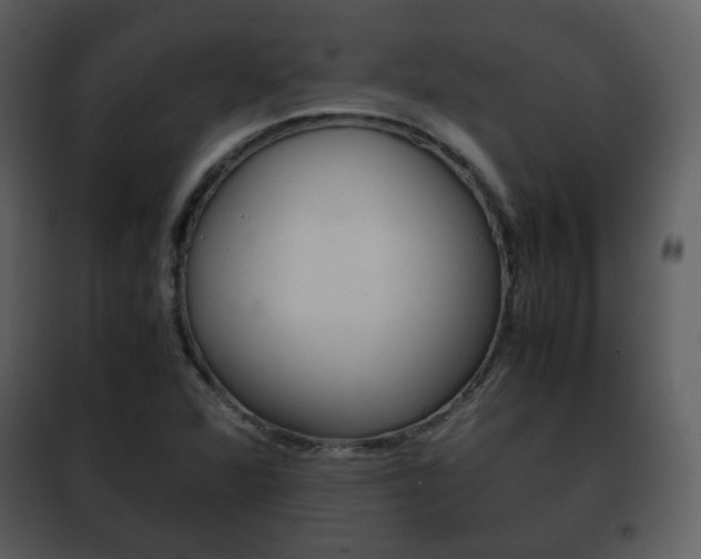 X0000101961360200807180652
