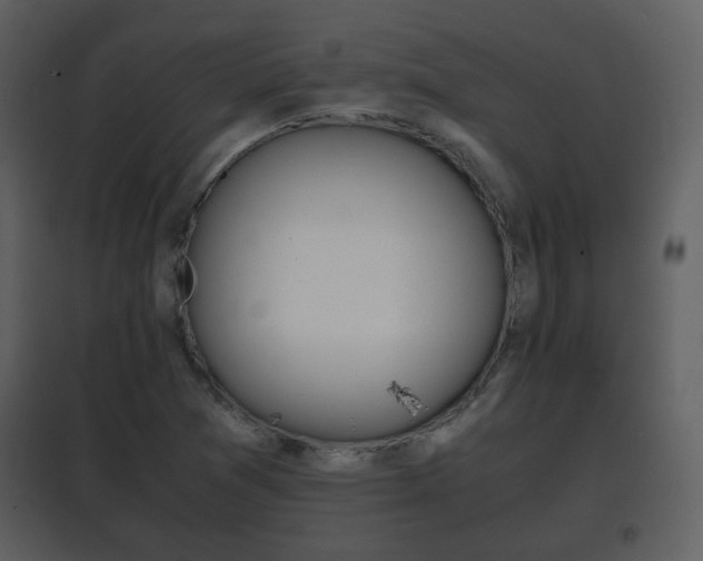 X0000101961361200807180652