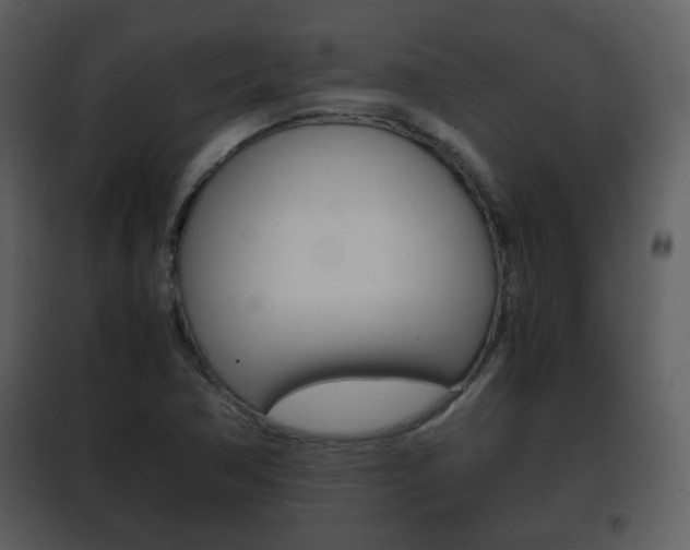 X0000101961362200807180652
