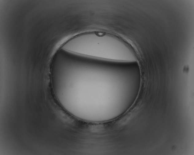 X0000101961363200807180652