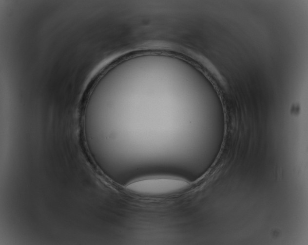 X0000101961364200807180652