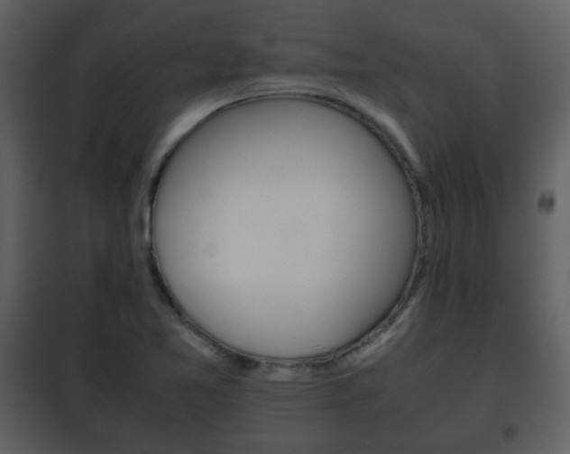 X0000101961365200807180652