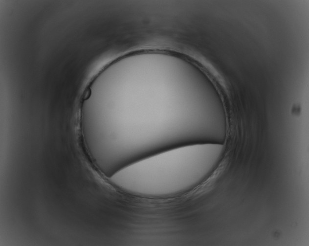 X0000101961366200807180652