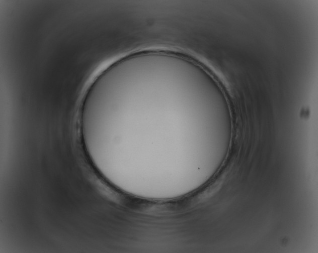 X0000101961367200807180652