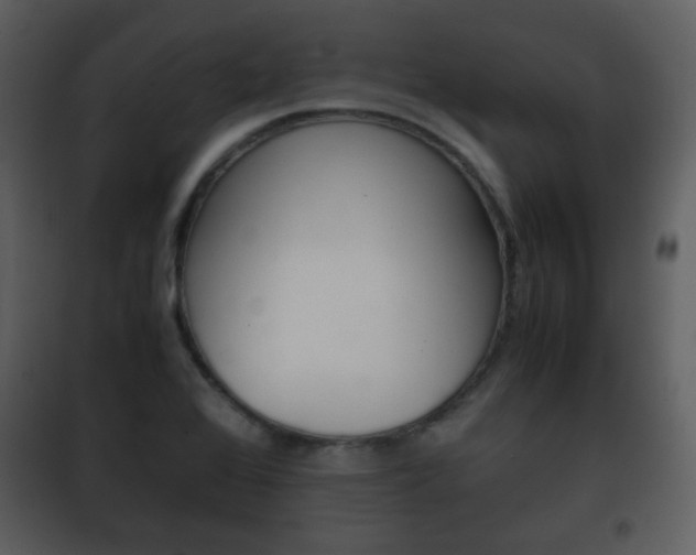 X0000101961368200807180652