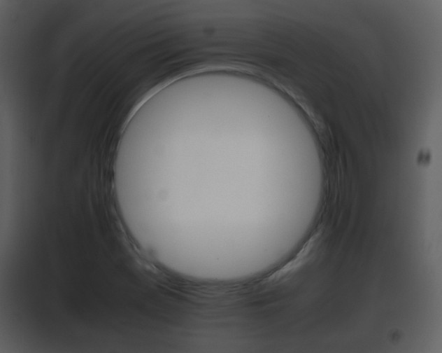 X0000101961369200807180652