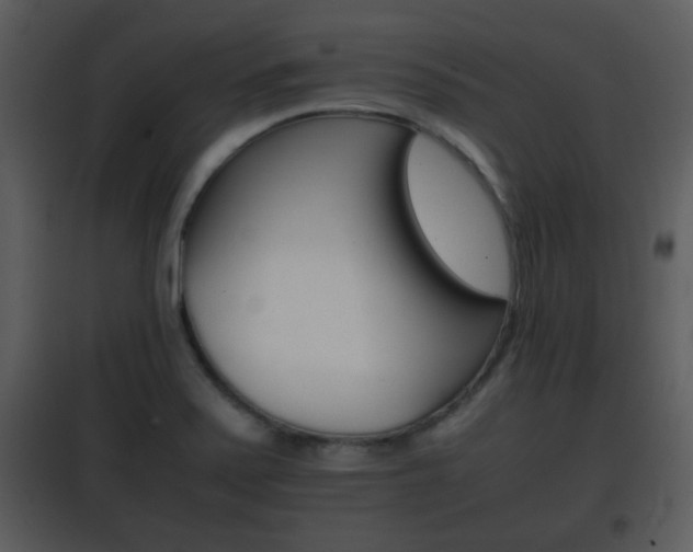 X0000101961371200807180652
