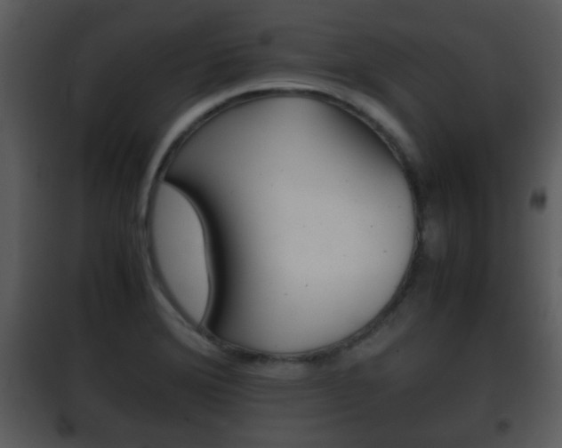 X0000101961372200807180652