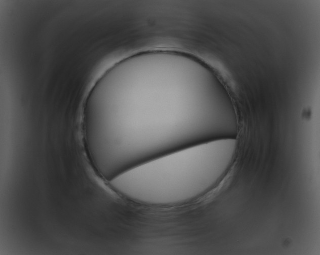 X0000101961374200807180652