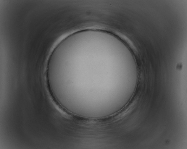 X0000101961375200807180652