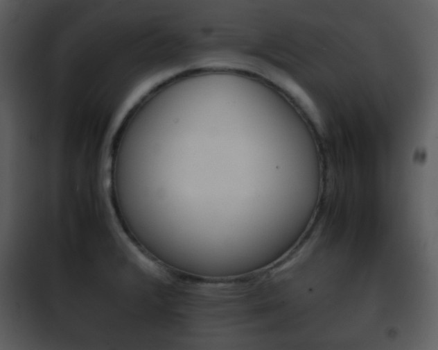 X0000101961376200807180652